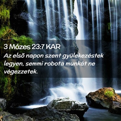 Picture 02 - 3 Mózes 23:7 KAR - Az elsõ napon szent gyülekezéstek legyen, - Bible Verse Picture