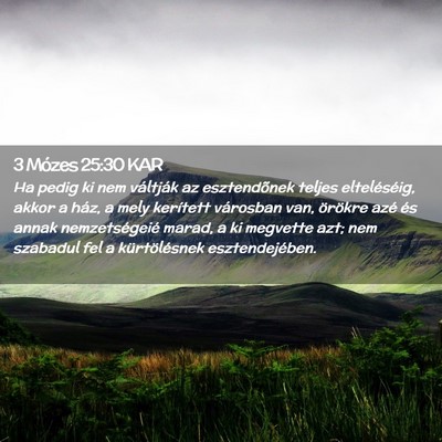 Picture 02 - 3 Mózes 25:30 KAR - Ha pedig ki nem váltják az esztendõnek teljes - Bible Verse Picture