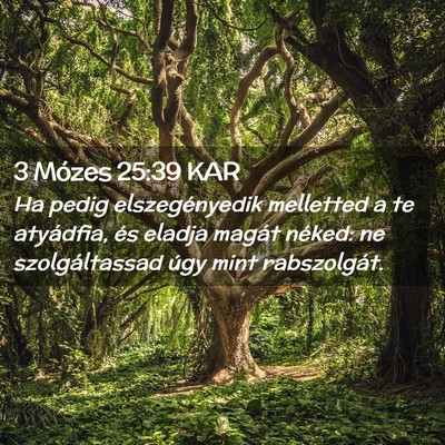 Picture 02 - 3 Mózes 25:39 KAR - Ha pedig elszegényedik melletted a te atyádfia, - Bible Verse Picture