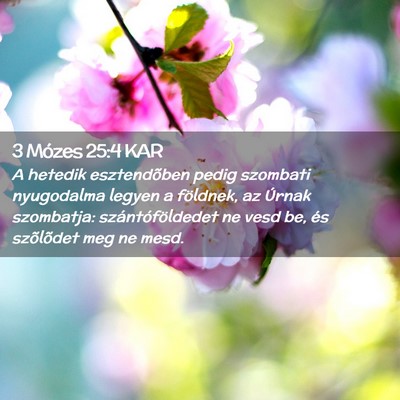 Picture 02 - 3 Mózes 25:4 KAR - A hetedik esztendõben pedig szombati nyugodalma - Bible Verse Picture