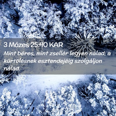 Picture 02 - 3 Mózes 25:40 KAR - Mint béres, mint zsellér legyen nálad; a - Bible Verse Picture