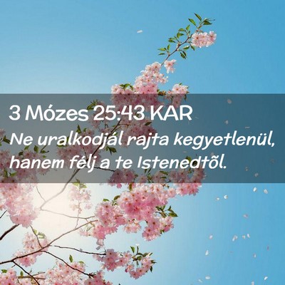 Picture 02 - 3 Mózes 25:43 KAR - Ne uralkodjál rajta kegyetlenül, hanem félj a - Bible Verse Picture