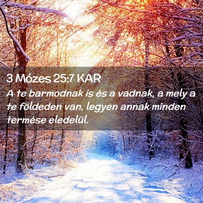 Picture 02 - 3 Mózes 25:7 KAR - A te barmodnak is és a vadnak, a mely a te - Bible Verse Picture