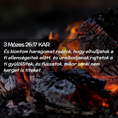 Picture 02 - 3 Mózes 26:17 KAR - És kiontom haragomat reátok, hogy elhulljatok a - Bible Verse Picture