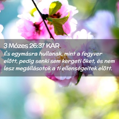 Picture 02 - 3 Mózes 26:37 KAR - És egymásra hullanak, mint a fegyver elõtt, - Bible Verse Picture