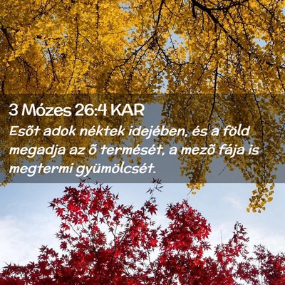 Picture 02 - 3 Mózes 26:4 KAR - Esõt adok néktek idejében, és a föld megadja - Bible Verse Picture