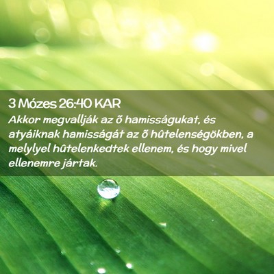Picture 02 - 3 Mózes 26:40 KAR - Akkor megvallják az õ hamisságukat, és - Bible Verse Picture