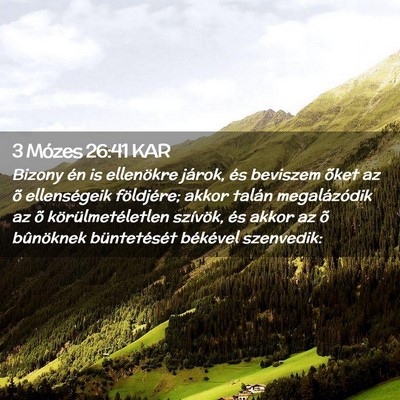 Picture 02 - 3 Mózes 26:41 KAR - Bizony én is ellenökre járok, és beviszem - Bible Verse Picture