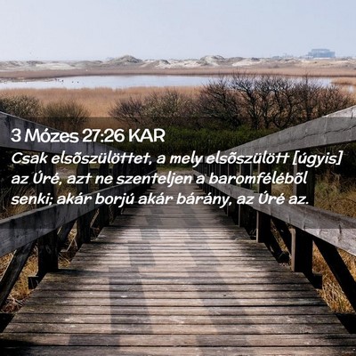 Picture 02 - 3 Mózes 27:26 KAR - Csak elsõszülöttet, a mely elsõszülött - Bible Verse Picture