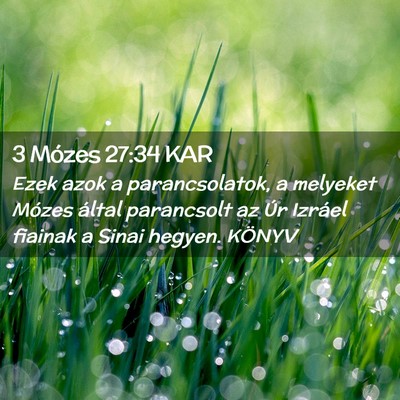 Picture 02 - 3 Mózes 27:34 KAR - Ezek azok a parancsolatok, a melyeket Mózes - Bible Verse Picture