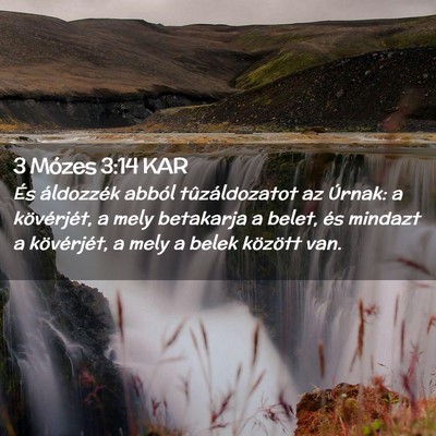 Picture 02 - 3 Mózes 3:14 KAR - És áldozzék abból tûzáldozatot az Úrnak: a - Bible Verse Picture