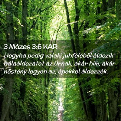 Picture 02 - 3 Mózes 3:6 KAR - Hogyha pedig valaki juhfélébõl áldozik - Bible Verse Picture