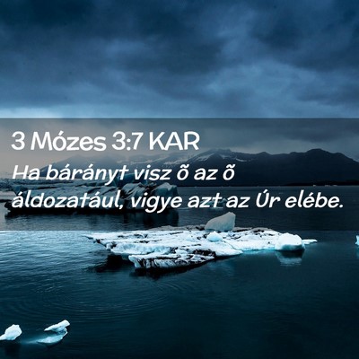 Picture 02 - 3 Mózes 3:7 KAR - Ha bárányt visz õ az õ áldozatául, vigye - Bible Verse Picture