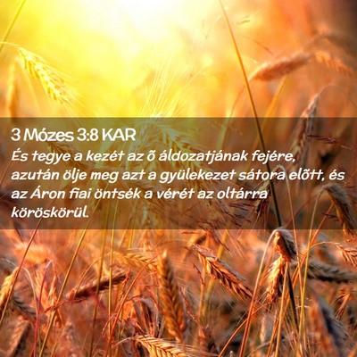 Picture 02 - 3 Mózes 3:8 KAR - És tegye a kezét az õ áldozatjának fejére, - Bible Verse Picture