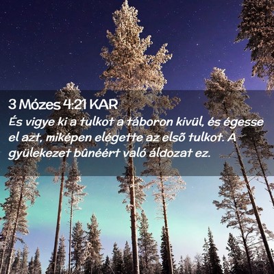 Picture 02 - 3 Mózes 4:21 KAR - És vigye ki a tulkot a táboron kivül, és - Bible Verse Picture