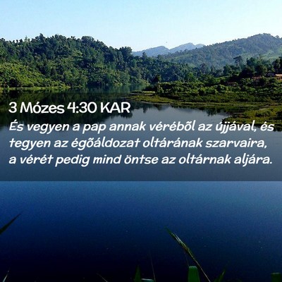Picture 02 - 3 Mózes 4:30 KAR - És vegyen a pap annak vérébõl az újjával, - Bible Verse Picture
