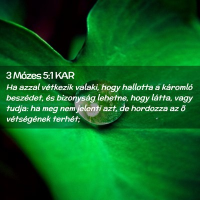 Picture 02 - 3 Mózes 5:1 KAR - Ha azzal vétkezik valaki, hogy hallotta a - Bible Verse Picture