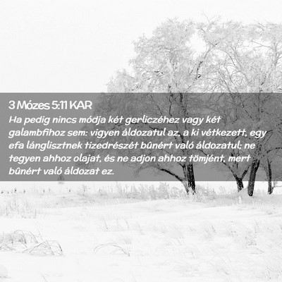 Picture 02 - 3 Mózes 5:11 KAR - Ha pedig nincs módja két gerliczéhez vagy két - Bible Verse Picture