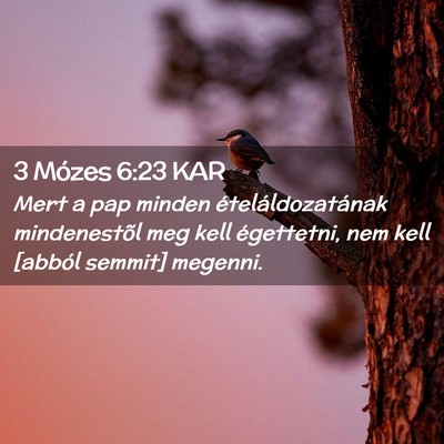 Picture 02 - 3 Mózes 6:23 KAR - Mert a pap minden ételáldozatának mindenestõl - Bible Verse Picture