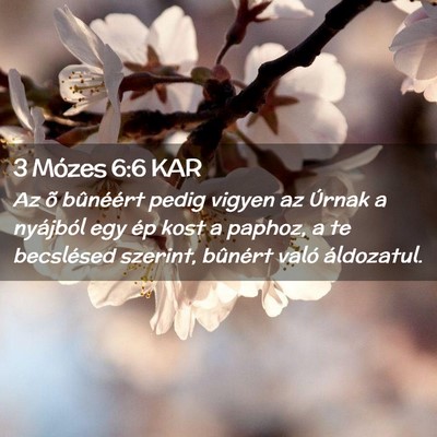 Picture 02 - 3 Mózes 6:6 KAR - Az õ bûnéért pedig vigyen az Úrnak a - Bible Verse Picture