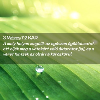 Picture 02 - 3 Mózes 7:2 KAR - A mely helyen megölik az egészen - Bible Verse Picture