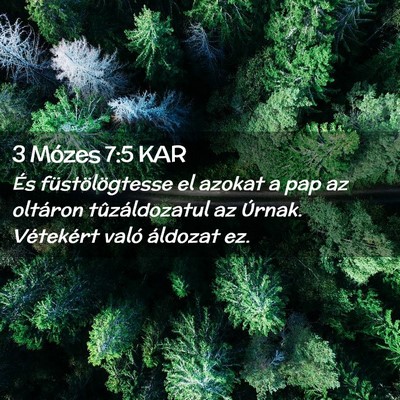 Picture 02 - 3 Mózes 7:5 KAR - És füstölögtesse el azokat a pap az oltáron - Bible Verse Picture