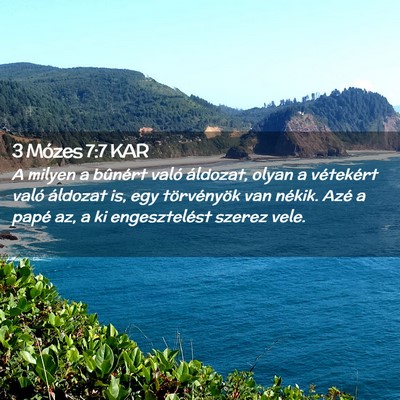 Picture 02 - 3 Mózes 7:7 KAR - A milyen a bûnért való áldozat, olyan a - Bible Verse Picture