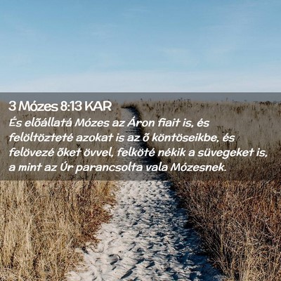 Picture 02 - 3 Mózes 8:13 KAR - És elõállatá Mózes az Áron fiait is, és - Bible Verse Picture