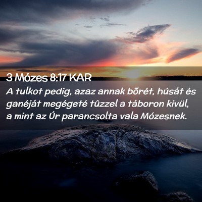 Picture 02 - 3 Mózes 8:17 KAR - A tulkot pedig, azaz annak bõrét, húsát és - Bible Verse Picture