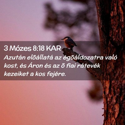 Picture 02 - 3 Mózes 8:18 KAR - Azután elõállatá az égõáldozatra való - Bible Verse Picture