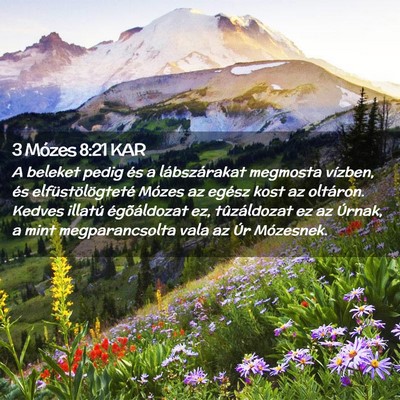 Picture 02 - 3 Mózes 8:21 KAR - A beleket pedig és a lábszárakat megmosta - Bible Verse Picture
