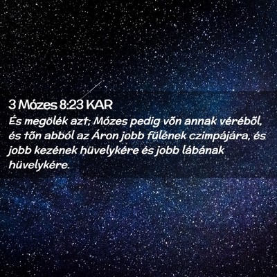 Picture 02 - 3 Mózes 8:23 KAR - És megölék azt; Mózes pedig võn annak - Bible Verse Picture
