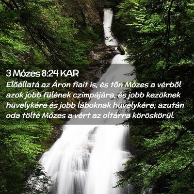 Picture 02 - 3 Mózes 8:24 KAR - Elõállatá az Áron fiait is, és tõn Mózes a - Bible Verse Picture