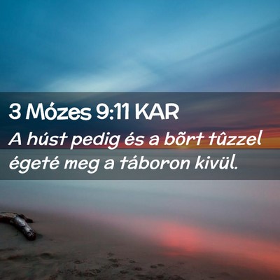 Picture 02 - 3 Mózes 9:11 KAR - A húst pedig és a bõrt tûzzel égeté meg a - Bible Verse Picture