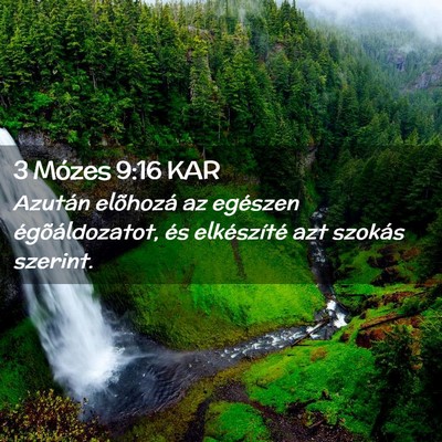 Picture 02 - 3 Mózes 9:16 KAR - Azután elõhozá az egészen égõáldozatot, - Bible Verse Picture