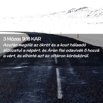 Picture 02 - 3 Mózes 9:18 KAR - Azután megölé az ökröt és a kost hálaadó - Bible Verse Picture