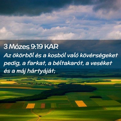 Picture 02 - 3 Mózes 9:19 KAR - Az ökörbõl és a kosból való kövérségeket - Bible Verse Picture