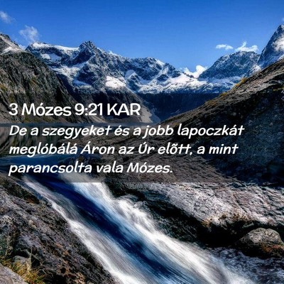 Picture 02 - 3 Mózes 9:21 KAR - De a szegyeket és a jobb lapoczkát meglóbálá - Bible Verse Picture