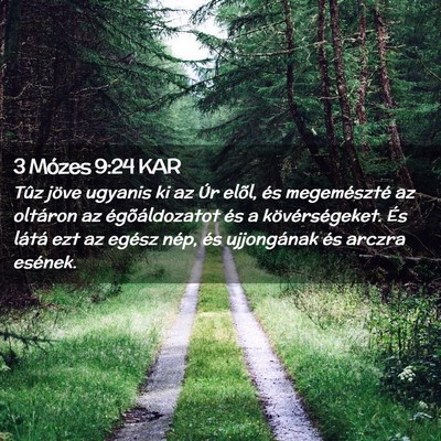 Picture 02 - 3 Mózes 9:24 KAR - Tûz jöve ugyanis ki az Úr elõl, és - Bible Verse Picture