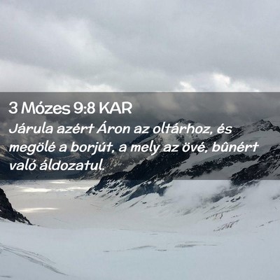 Picture 02 - 3 Mózes 9:8 KAR - Járula azért Áron az oltárhoz, és megölé a - Bible Verse Picture