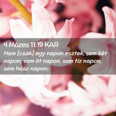 Picture 02 - 4 Mózes 11:19 KAR - Nem [csak] egy napon esztek, sem két napon, sem - Bible Verse Picture