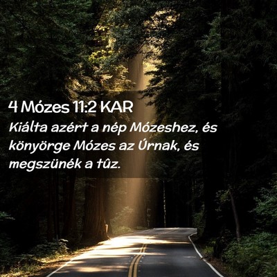 Picture 02 - 4 Mózes 11:2 KAR - Kiálta azért a nép Mózeshez, és könyörge - Bible Verse Picture
