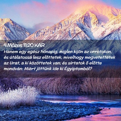 Picture 02 - 4 Mózes 11:20 KAR - Hanem egy egész hónapig, míglen kijön az - Bible Verse Picture
