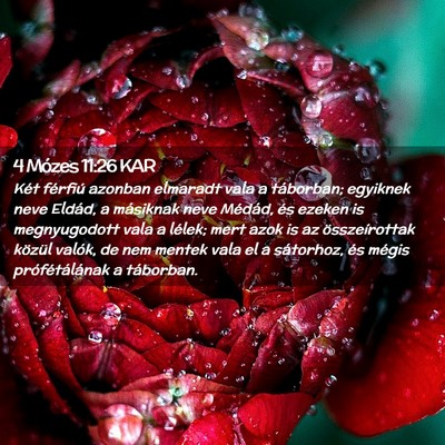 Picture 02 - 4 Mózes 11:26 KAR - Két férfiú azonban elmaradt vala a táborban; - Bible Verse Picture