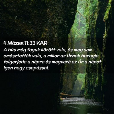 Picture 02 - 4 Mózes 11:33 KAR - A hús még foguk között vala, és meg sem - Bible Verse Picture