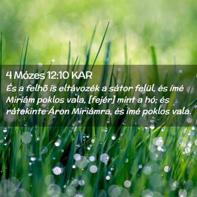 Picture 02 - 4 Mózes 12:10 KAR - És a felhõ is eltávozék a sátor felül, és - Bible Verse Picture