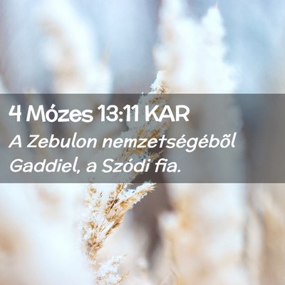 Picture 02 - 4 Mózes 13:11 KAR - A Zebulon nemzetségébõl Gaddiel, a Szódi - Bible Verse Picture
