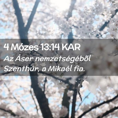 Picture 02 - 4 Mózes 13:14 KAR - Az Áser nemzetségébõl Szenthúr, a Mikaél - Bible Verse Picture
