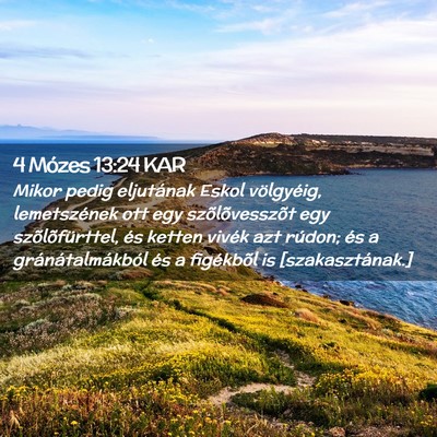 Picture 02 - 4 Mózes 13:24 KAR - Mikor pedig eljutának Eskol völgyéig, - Bible Verse Picture