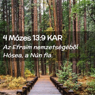 Picture 02 - 4 Mózes 13:9 KAR - Az Efraim nemzetségébõl Hósea, a Nún - Bible Verse Picture